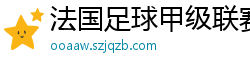 法国足球甲级联赛